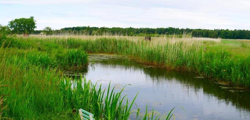 Bed and Breakfast Sloneczny Dom