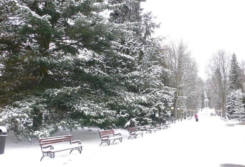 住宿加早餐 Villa Almira