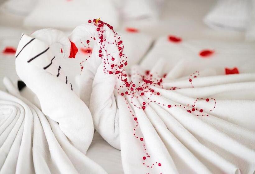 مبيت وإفطار Villa Astra Baltica