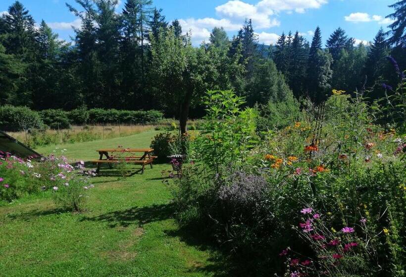 민박 Villa Nostalgia