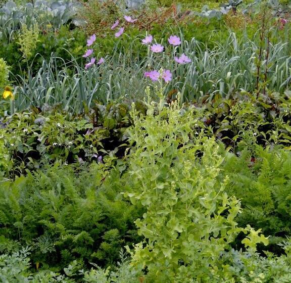 تختخواب و صبحانه Villa Nostalgia