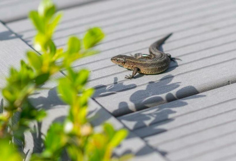 Bed and Breakfast Villa Sanibel