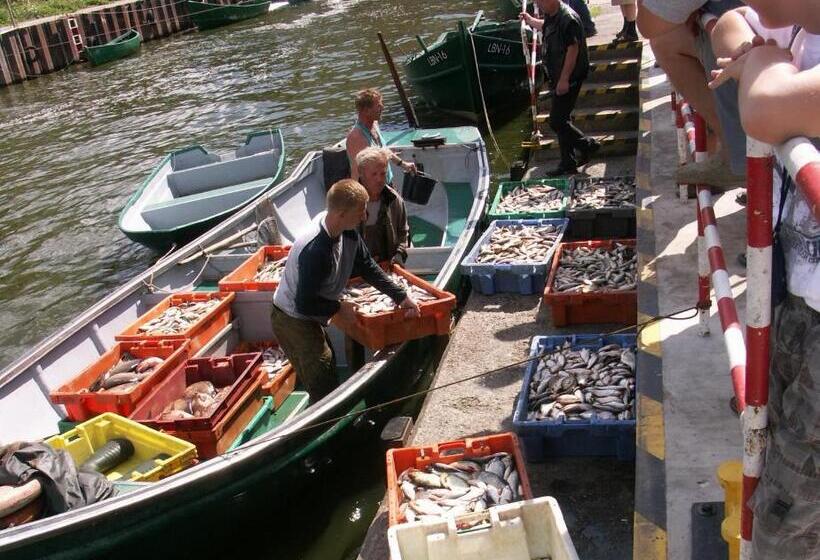 住宿加早餐  Villa Stella Maris