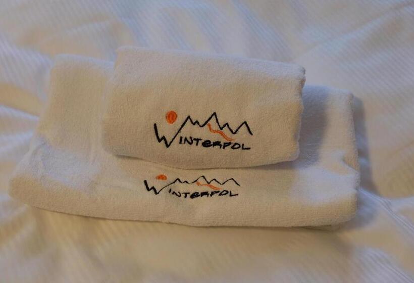 住宿加早餐  Villa Winterpol