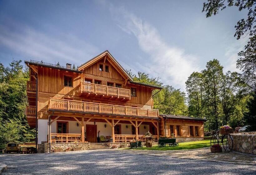 Bed and Breakfast Willa Orle Gniazdo