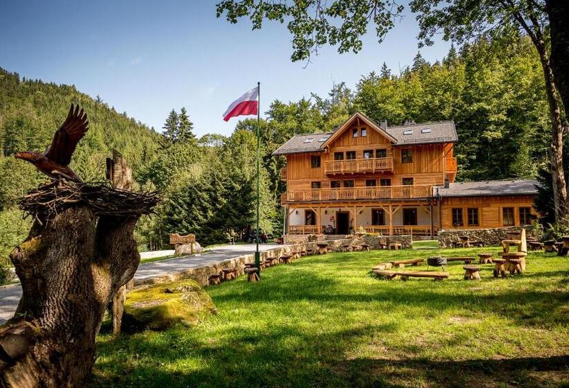 Bed and Breakfast Willa Orle Gniazdo