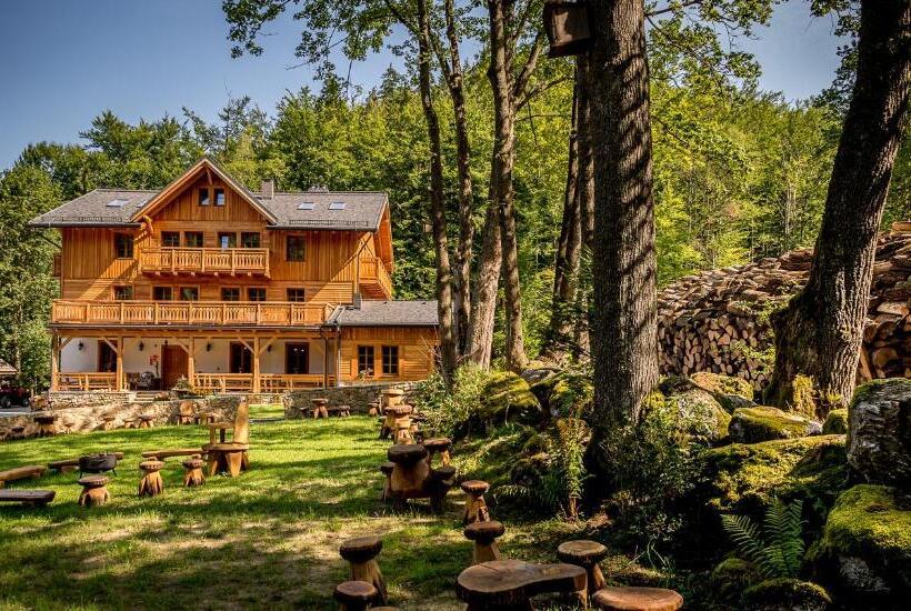 Bed and Breakfast Willa Orle Gniazdo