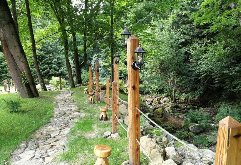 Bed and Breakfast Willa Orle Gniazdo