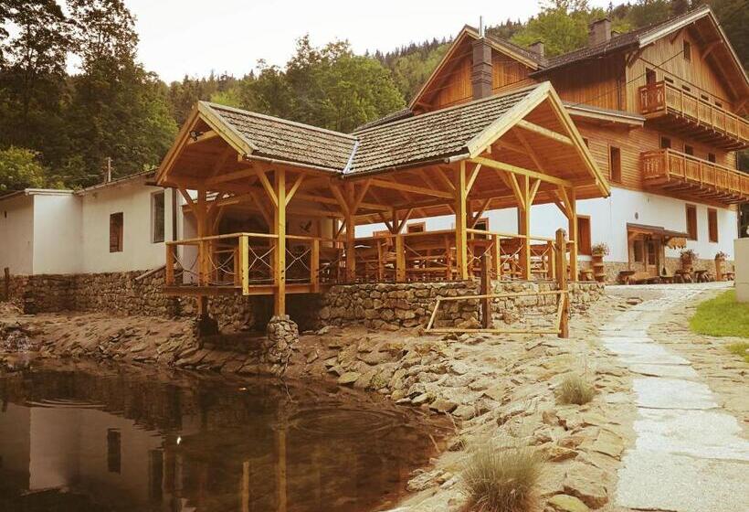 Bed and Breakfast Willa Orle Gniazdo