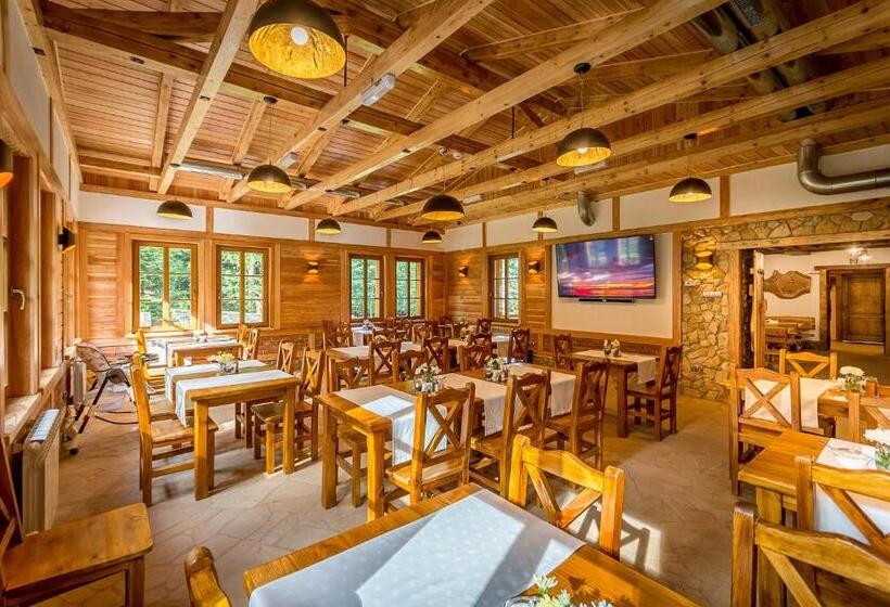 Bed and Breakfast Willa Orle Gniazdo