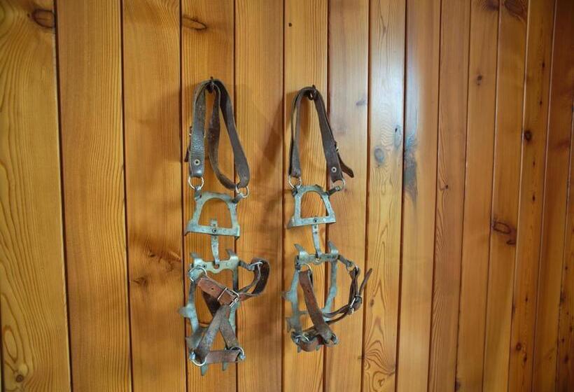 تختخواب و صبحانه Willa Szymaszkowa