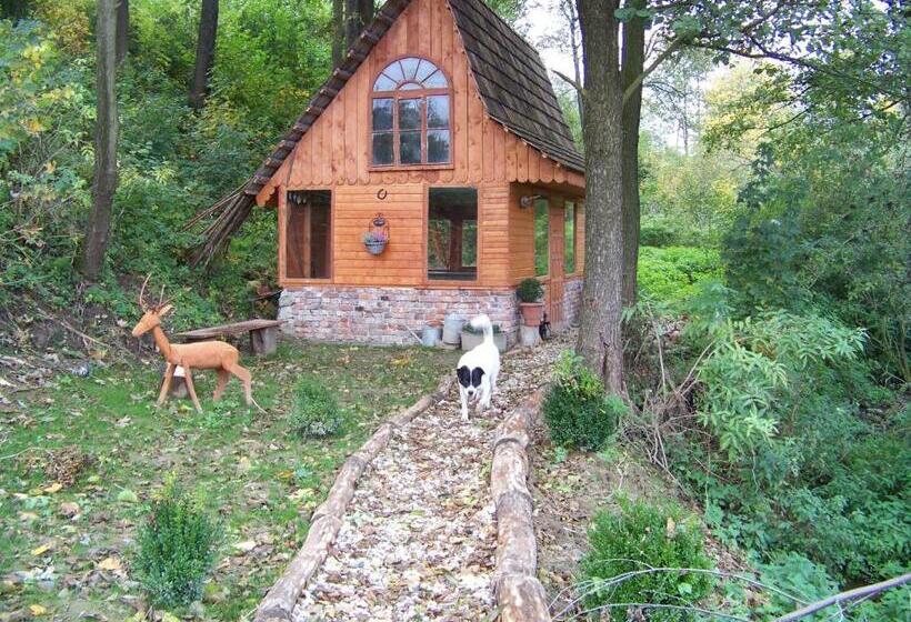 住宿加早餐  Zbójna Debra