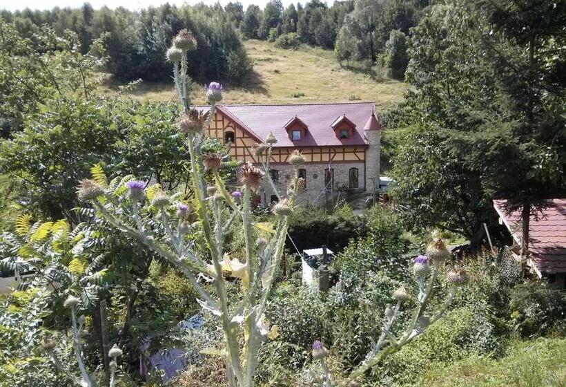 住宿加早餐  Zbójna Debra