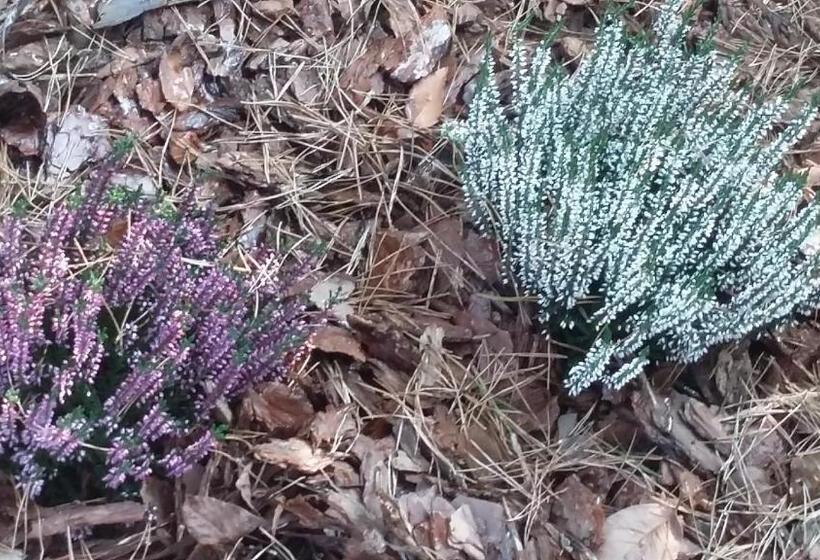 בית מלון כפרי Agroturystyka Dyrdówka