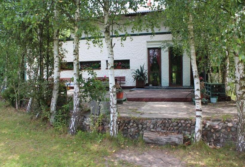 Отель Agroturystyka Kociewiak