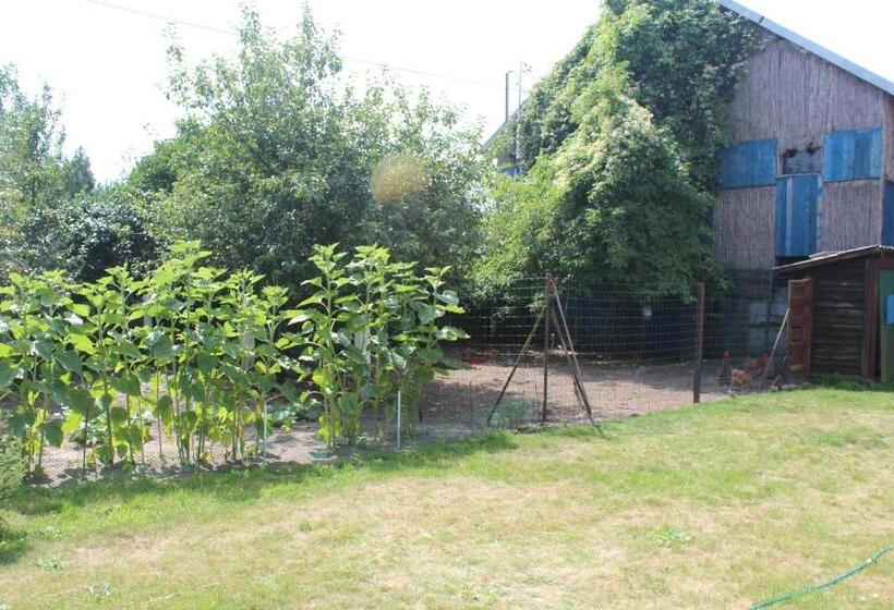 Отель Agroturystyka Kociewiak