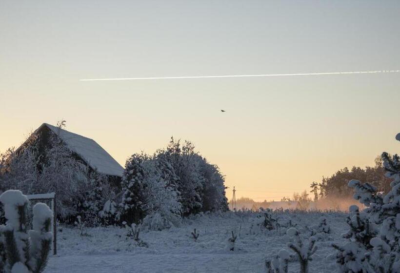 Отель Agroturystyka Kociewiak