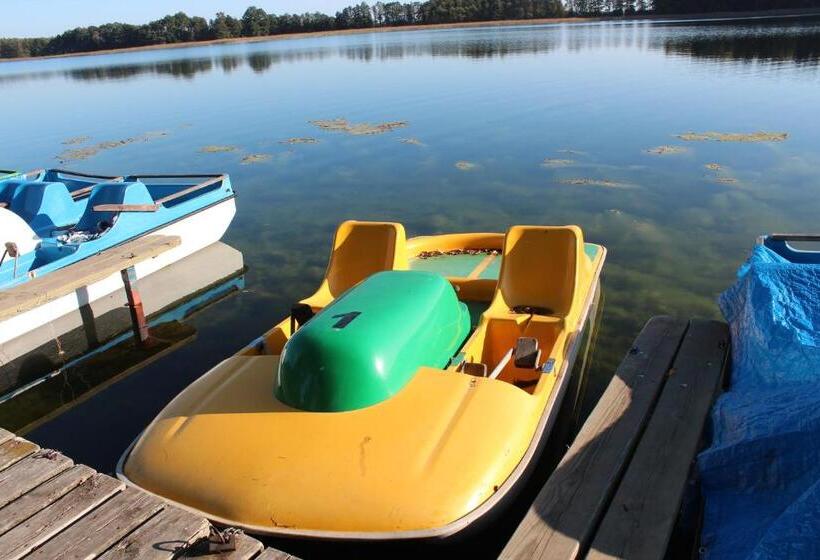 Отель Agroturystyka Kociewiak