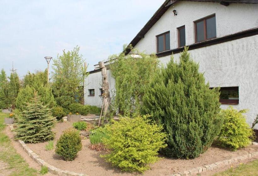 Отель Agroturystyka Kociewiak