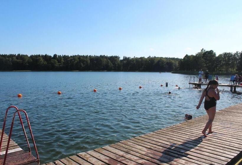 Отель Agroturystyka Kociewiak