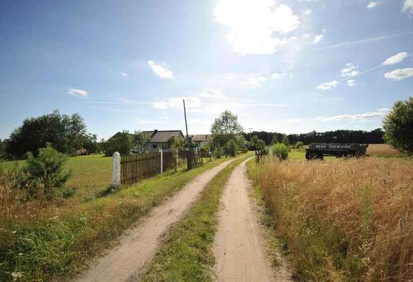 Отель Agroturystyka Kociewiak