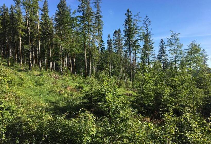 Отель Agroturystyka Leśny Zakątek