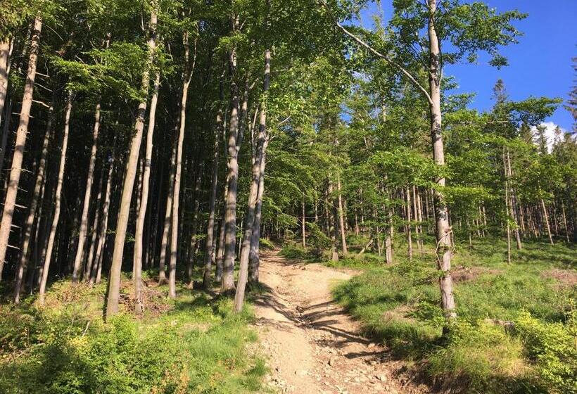 Отель Agroturystyka Leśny Zakątek