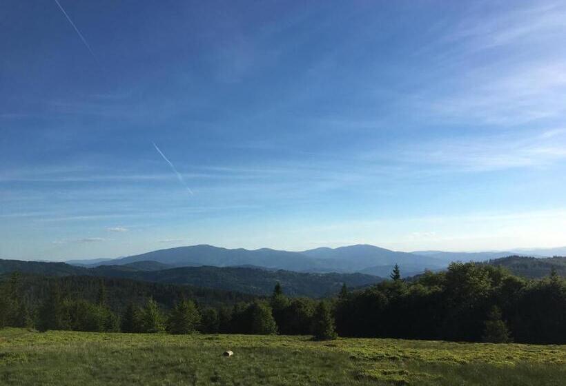 Отель Agroturystyka Leśny Zakątek