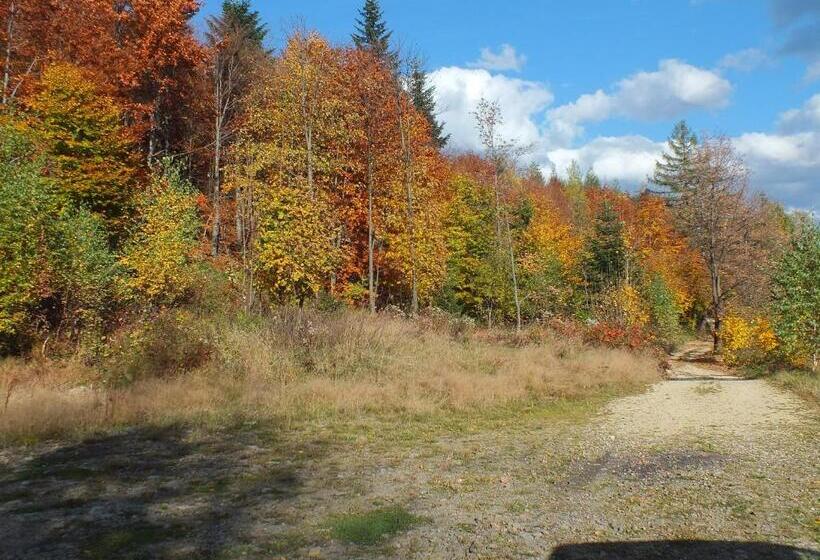 Отель Agroturystyka Leśny Zakątek