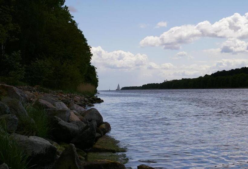 Отель Agroturystyka Pod Brzozami