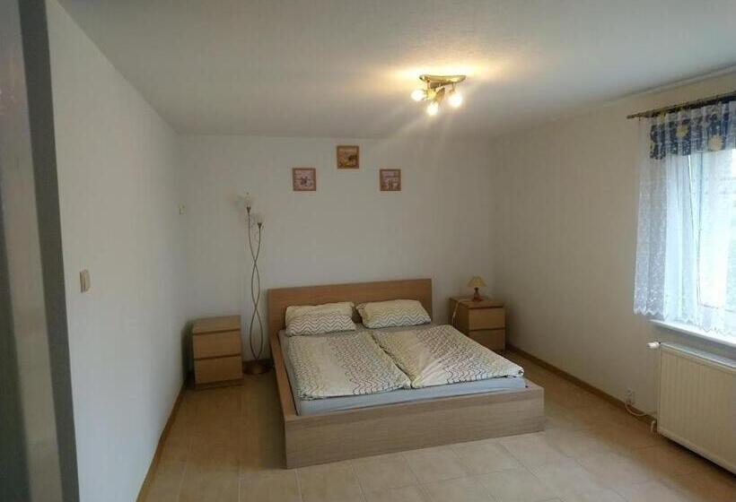 Отель Agroturystyka Pod Brzozami