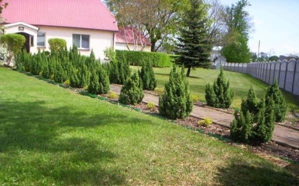 Отель Agroturystyka Pod Brzozami