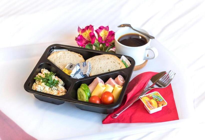 בית מלון כפרי Airpark Balice