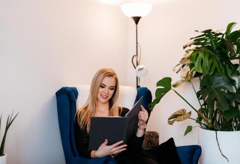 בית מלון כפרי Artisan Park