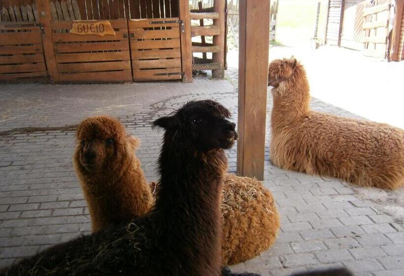 فندق Azuria Agroturystyka