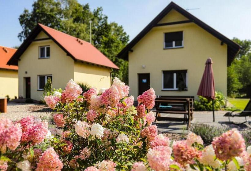 ホテル Bednarzówka