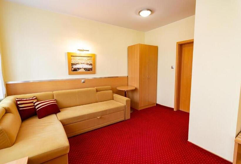 בית מלון כפרי Dom Sportowca Błonie   Mosir