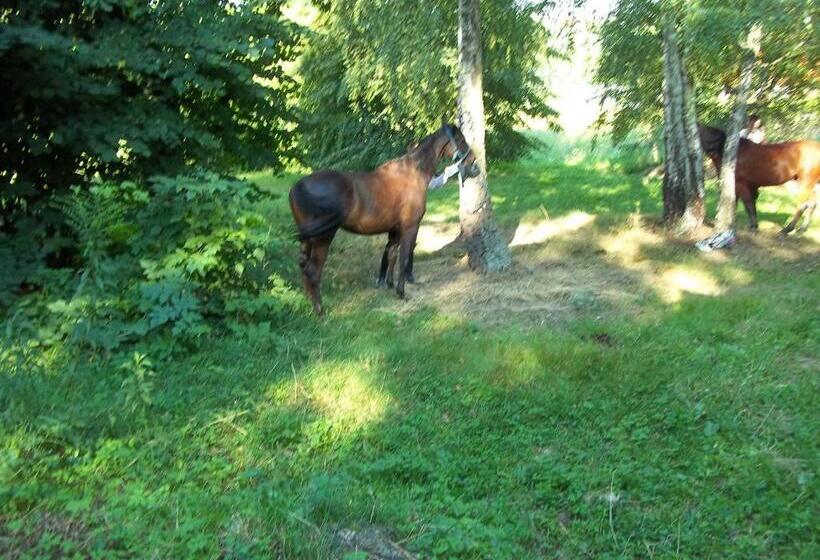 호텔 Dwór W Boleniu