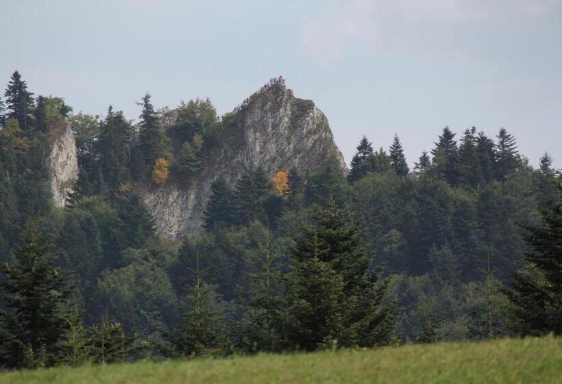 Отель Familiówka