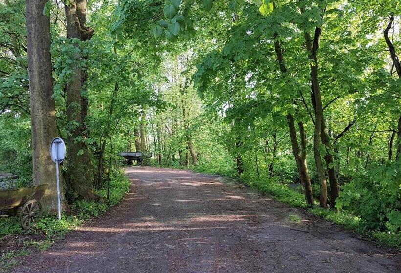 酒店 Gospodarstwo Agroturystyczne Stary Młyn Wilczkowice