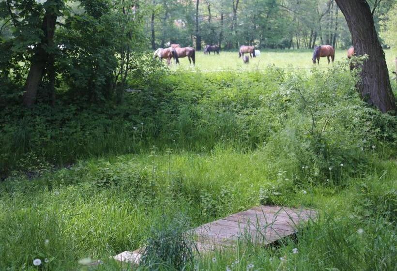酒店 Gospodarstwo Agroturystyczne Stary Młyn Wilczkowice