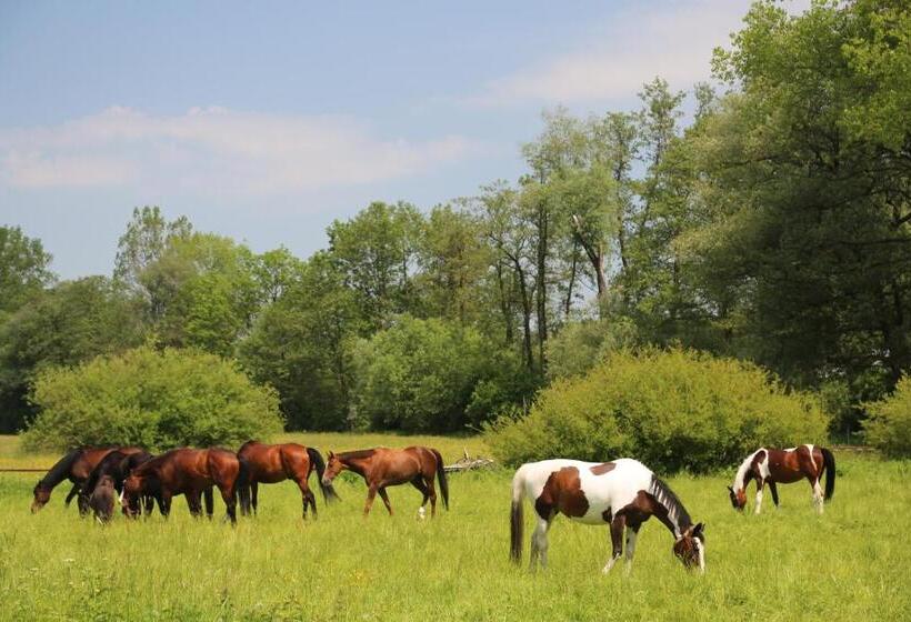 酒店 Gospodarstwo Agroturystyczne Stary Młyn Wilczkowice