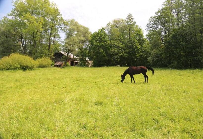 酒店 Gospodarstwo Agroturystyczne Stary Młyn Wilczkowice