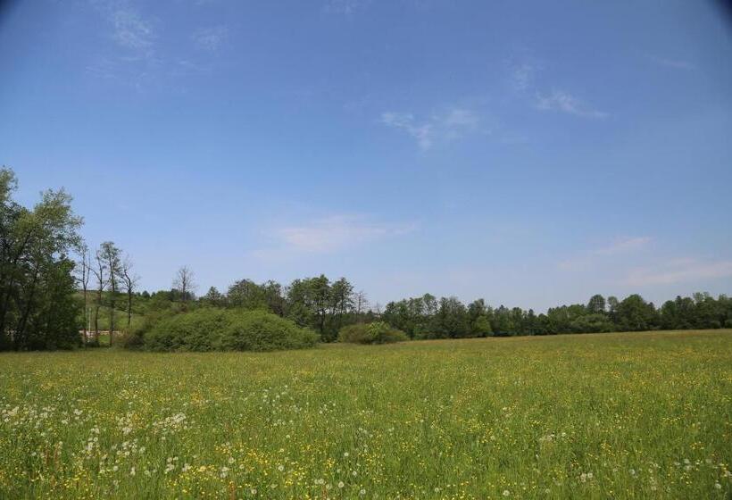 酒店 Gospodarstwo Agroturystyczne Stary Młyn Wilczkowice