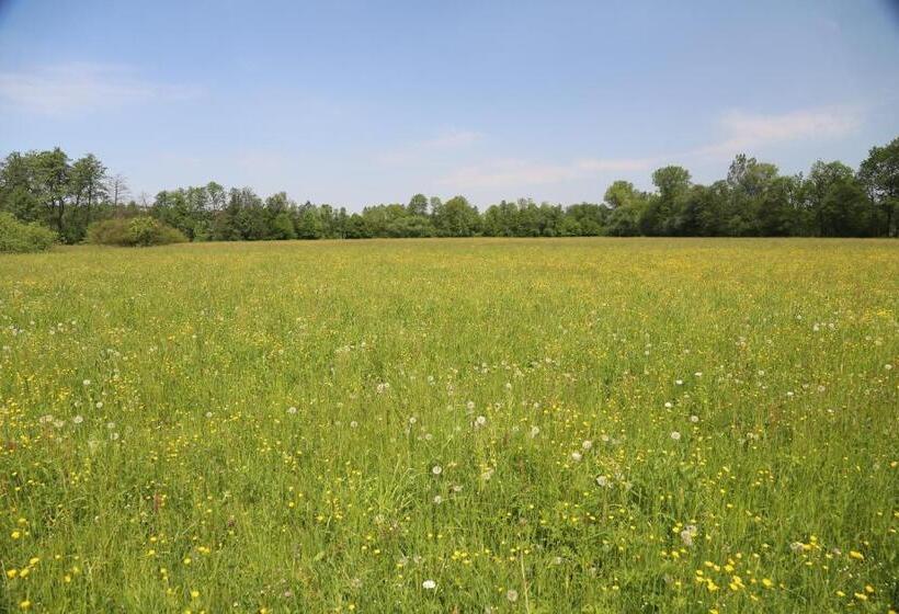 酒店 Gospodarstwo Agroturystyczne Stary Młyn Wilczkowice