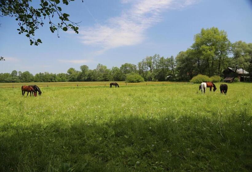 酒店 Gospodarstwo Agroturystyczne Stary Młyn Wilczkowice