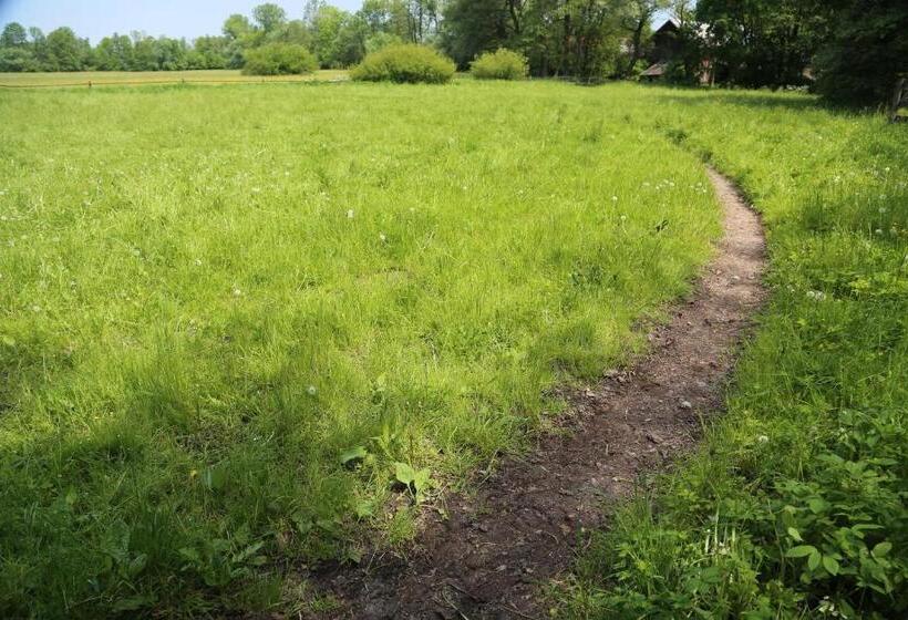 酒店 Gospodarstwo Agroturystyczne Stary Młyn Wilczkowice