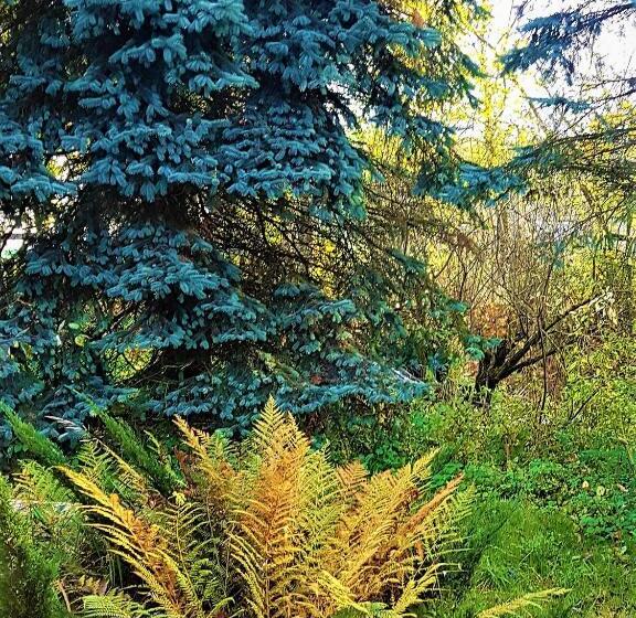 酒店 Gospodarstwo Agroturystyczne Stary Młyn Wilczkowice