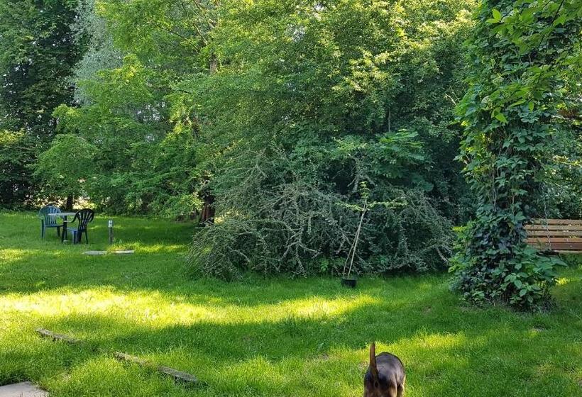 酒店 Gospodarstwo Agroturystyczne Stary Młyn Wilczkowice