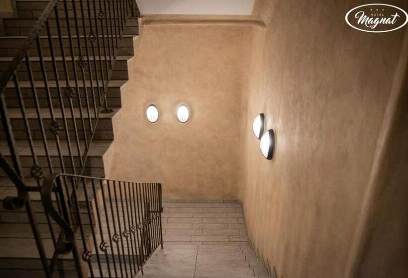 בית מלון כפרי Magnat